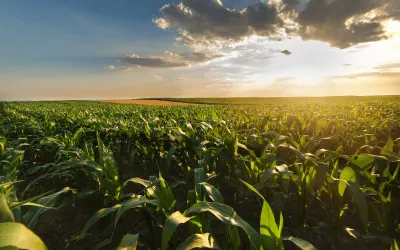 Agriculture